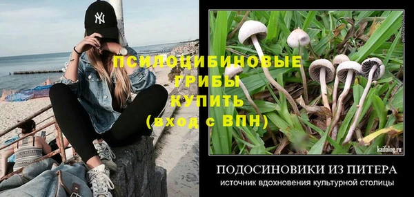 СК Пестово
