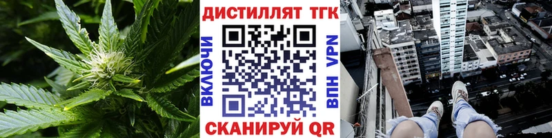 Купить закладки  Суровикино  Дистиллят ТГК гашишное масло 