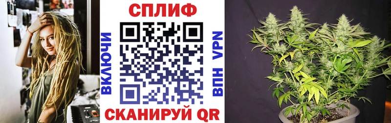 Конопля план  Купить где  Суровикино 